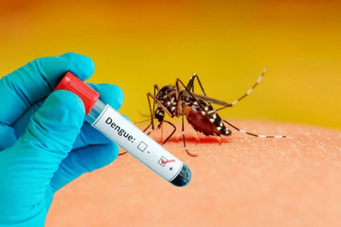 Hà Nội thêm 72 ổ dịch và 2 người tử vong vì sốt xuất huyết