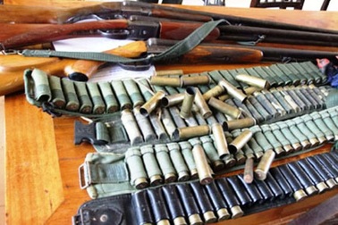 Bắt giữ 3 đối tượng dùng súng săn bắn động vật hoang dã