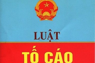 Quy định giải quyết tố cáo về nhân sự cấp cao ứng cử đại biểu Quốc hội