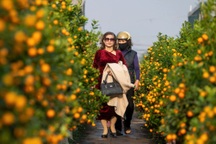 Miền Bắc nắng ấm trước khi chuyển rét vào sát Tết