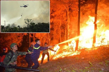 Nghiên cứu ứng dụng công nghệ 4.0 vào phòng, chữa cháy rừng