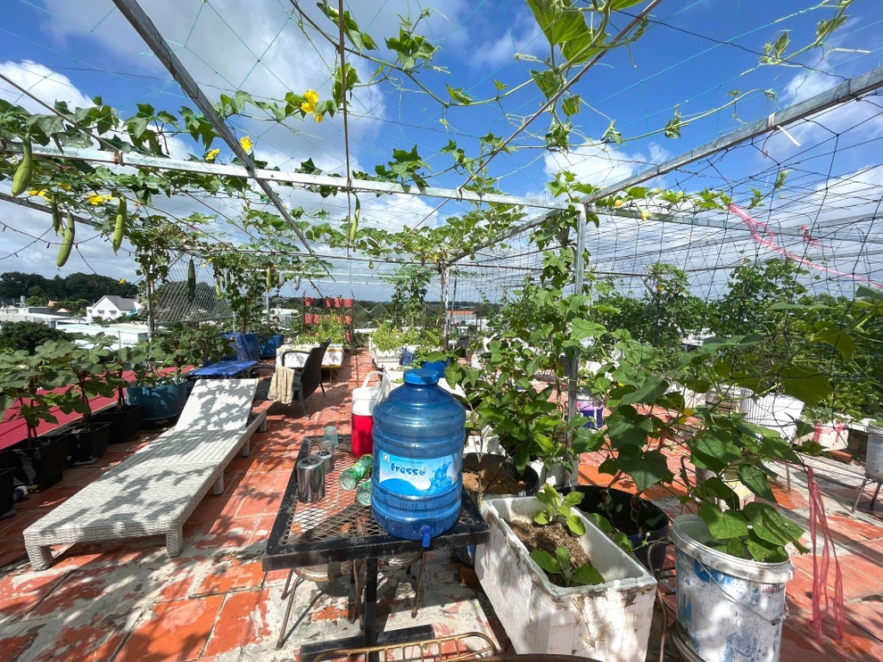 Nghỉ dịch ở nhà, gia đình Đồng Nai làm vườn rau trái đủ ăn khỏi lo đi chợ - 1 Nghỉ dịch ở nhà, gia đình Đồng Nai làm vườn rau trái đủ ăn khỏi lo đi chợ - 1