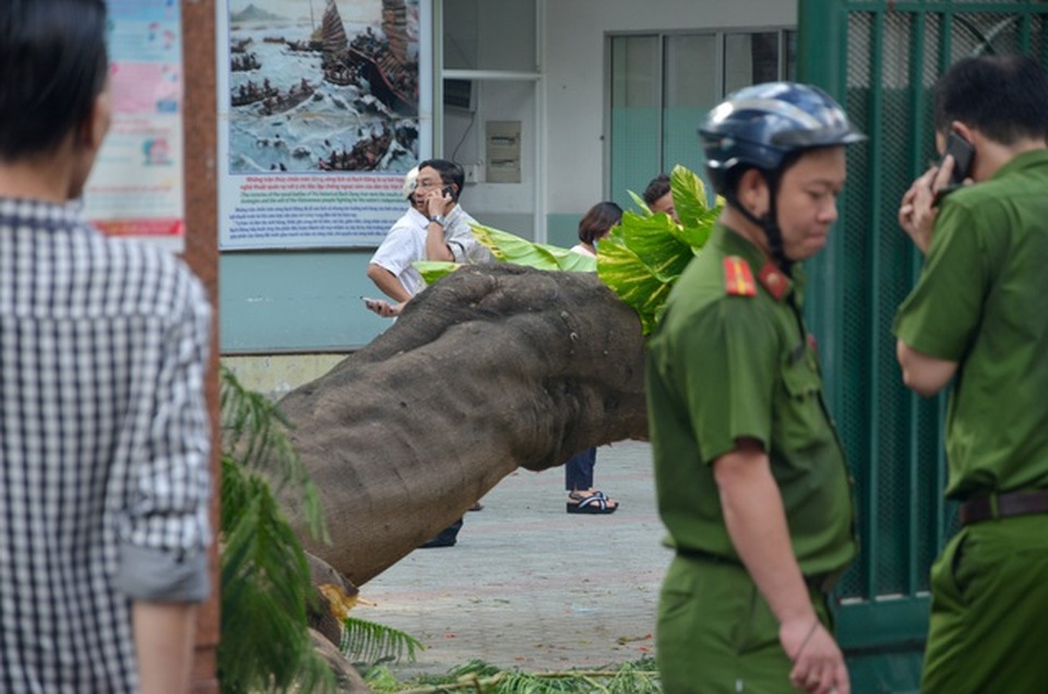 Những lùm xùm chưa lối ra trong năm cũ ở trường học - 3 Những lùm xùm chưa lối ra trong năm cũ ở trường học - 3
