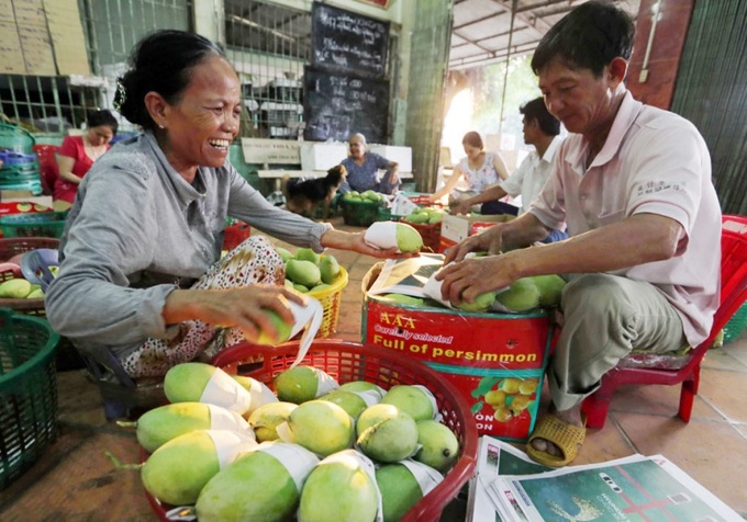 Từ nguồn vốn vay, nhiều hộ gia đình ở Tây Ninh đã mạnh dạn đầu tư cây giống, mở rộng mô hình sản xuất từ đó giúp nhiều người có việc làm với thu nhập ổn định.
