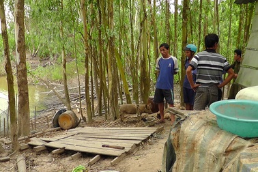 Cụ ông 79 tuổi tự vẫn bên mộ người vợ mới qua đời