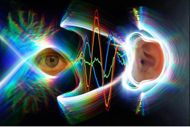 Khi mắt di chuyển, các màng nhĩ cũng làm việc