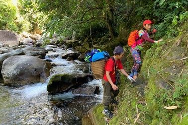 Những người gùi đồ trên các đỉnh ngàn sương Tây Bắc