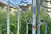 Doanh nghiệp địa ốc "chết" trên đống tài sản, sếp "đi buôn" để nuôi quân