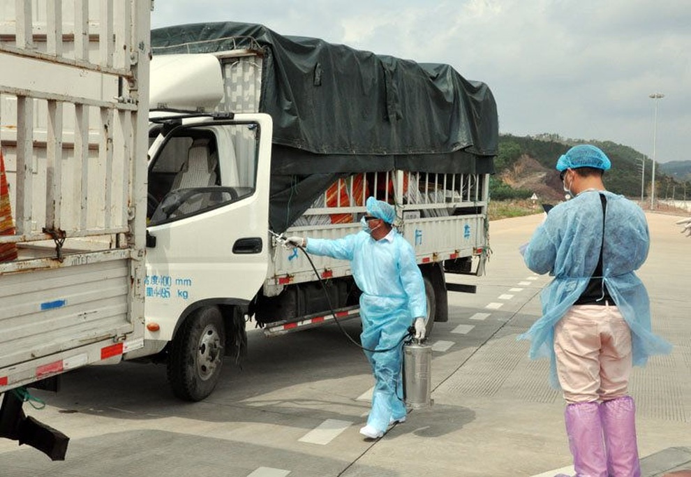 Vì sao Trung Quốc tạm dừng nhập thanh long trong 7 ngày? - 1 Vì sao Trung Quốc tạm dừng nhập thanh long trong 7 ngày? - 1