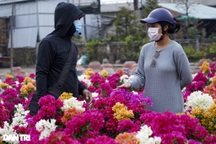 Thị trường hoa Tết TPHCM: Điểm vắng khách, nơi cháy hàng không kịp bán