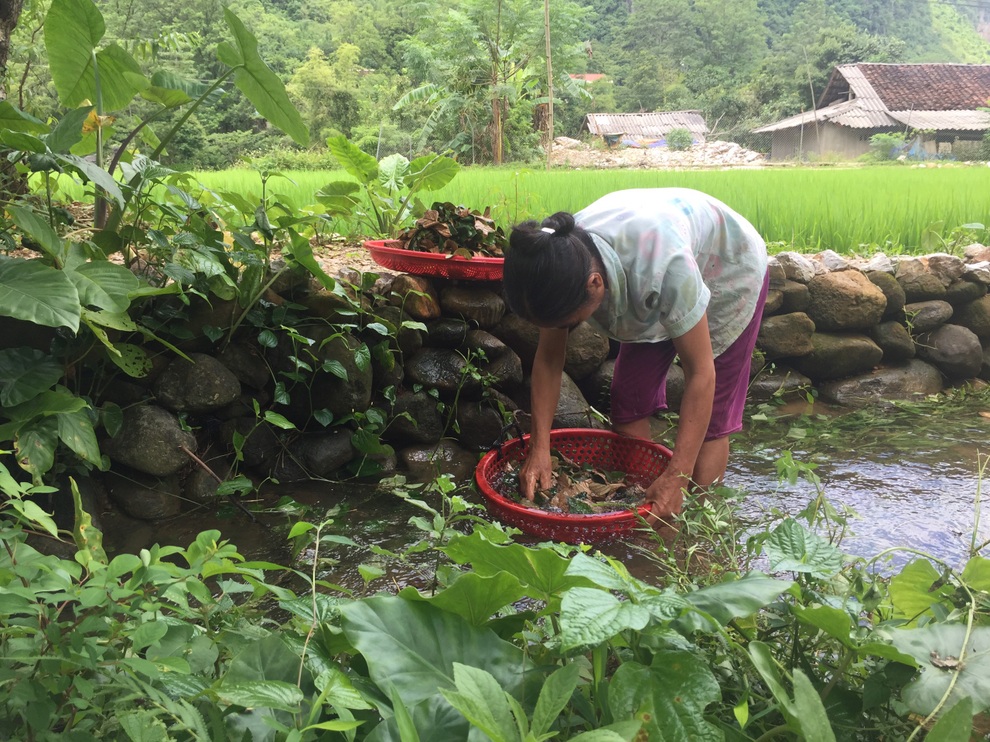 Bí mật ý nghĩa ngày rằm tháng 7 của đồng bào dân tộc Tày, Nùng ở Cao Bằng - 3 Bí mật ý nghĩa ngày rằm tháng 7 của đồng bào dân tộc Tày, Nùng ở Cao Bằng - 3