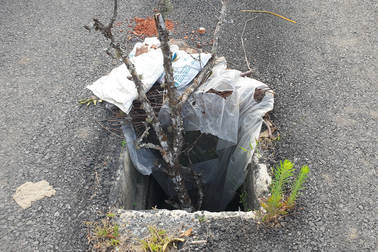 "Lỗ hổng" từ những chiếc nắp cống bị mất cắp