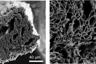 Sử dụng lò vi sóng để sản xuất graphene chất lượng cao