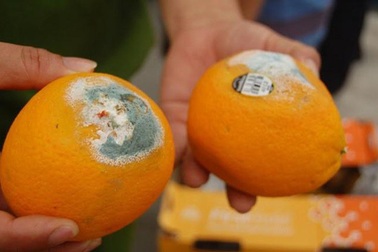 Hai vợ chồng khóc ân hận khi biết mình mắc ung thư gan từ thói quen ăn hoa quả