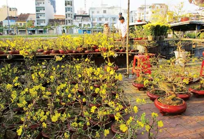 Chợ hoa xuân trên sông Sài Gòn