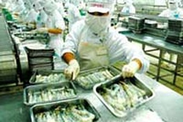 Doanh nghiệp góp trên 500.000 USD đối phó với vụ kiện tôm