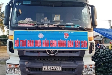 Thanh niên đất võ ra tay “giải cứu” dưa tồn giúp nông dân