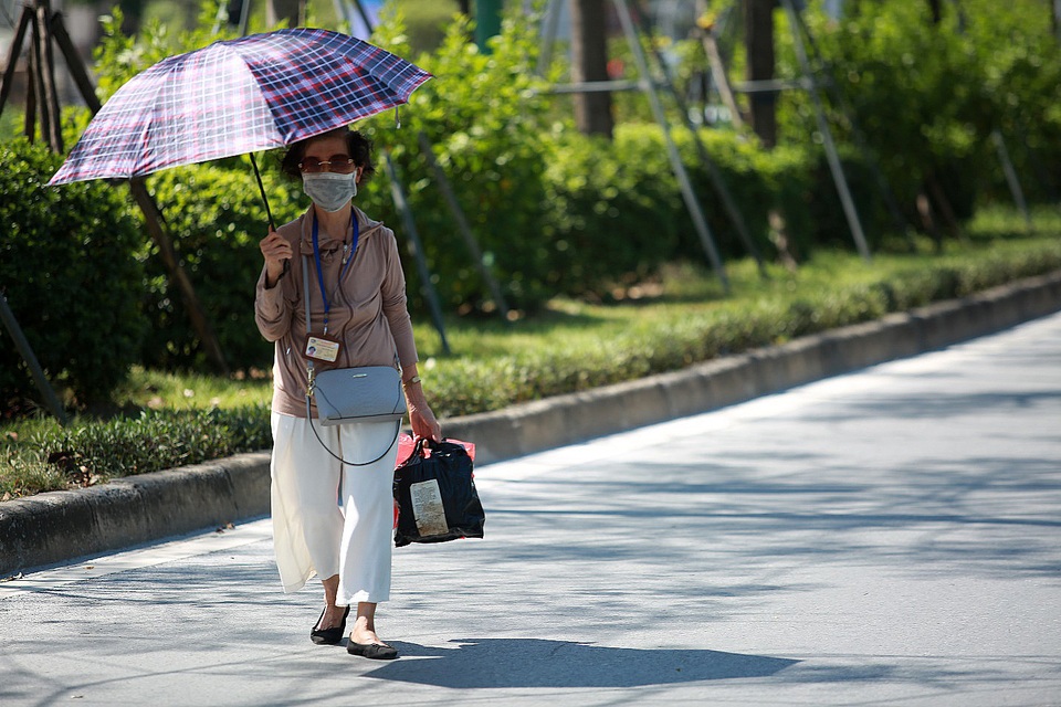 Hà Nội nắng như chảo lửa, lái xe ngụy trang cành lá lên người để giải nhiệt - 15 Hà Nội nắng như chảo lửa, lái xe ngụy trang cành lá lên người để giải nhiệt - 15