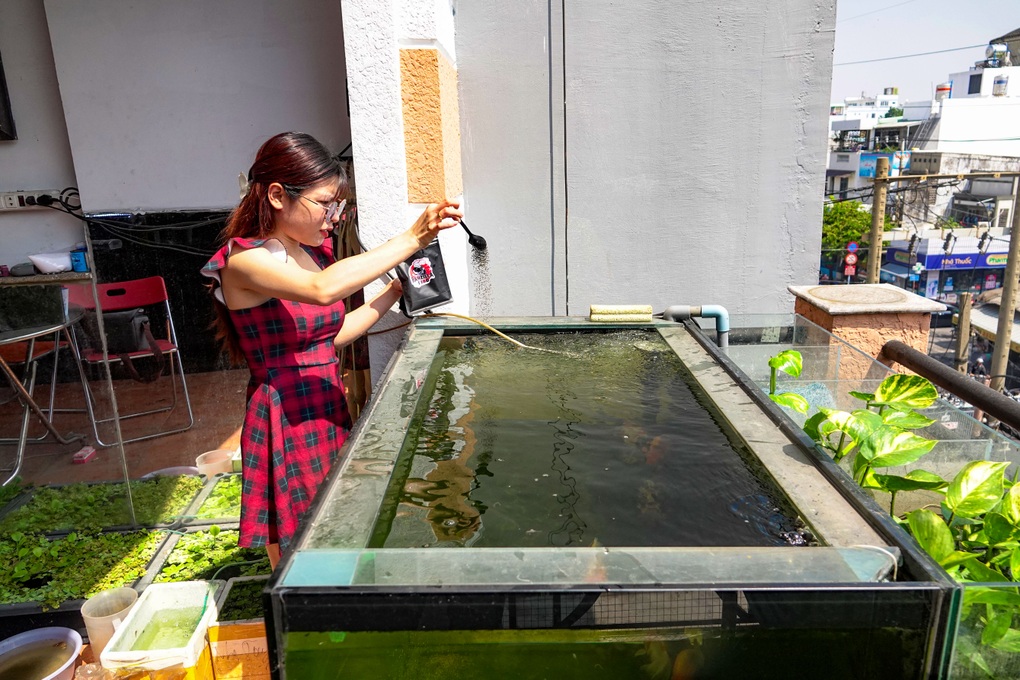 Vợ chồng trẻ thu nhập gấp 3 dân văn phòng từ khoảng sân thượng bé tí - 2 Vợ chồng trẻ thu nhập gấp 3 dân văn phòng từ khoảng sân thượng bé tí - 2