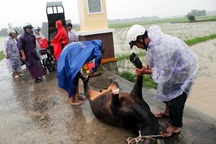 Lũ cô lập nhiều vùng, nhiều người chết và mất tích