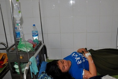 Hàng chục học sinh nhập viện vì ong đốt khi đi cắm trại