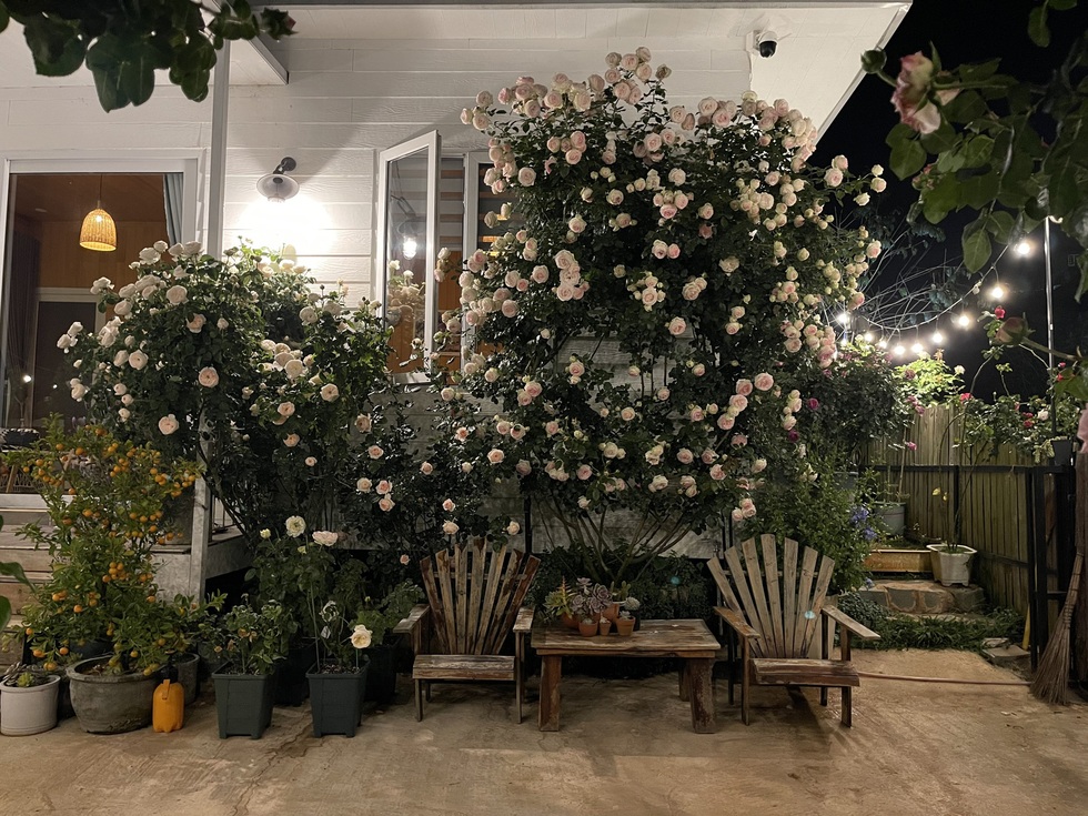 Mua 2.000m2 đất ở Đà Lạt, chàng trai dựng ngôi nhà đi đâu cũng chạm hoa - 3 Mua 2.000m2 đất ở Đà Lạt, chàng trai dựng ngôi nhà đi đâu cũng chạm hoa - 3