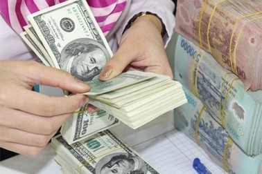 Tỷ giá tăng 1%: Nhìn từ nợ quốc gia và nợ doanh nghiệp