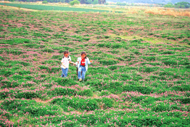 Thì thầm cùng nàng Xuân…