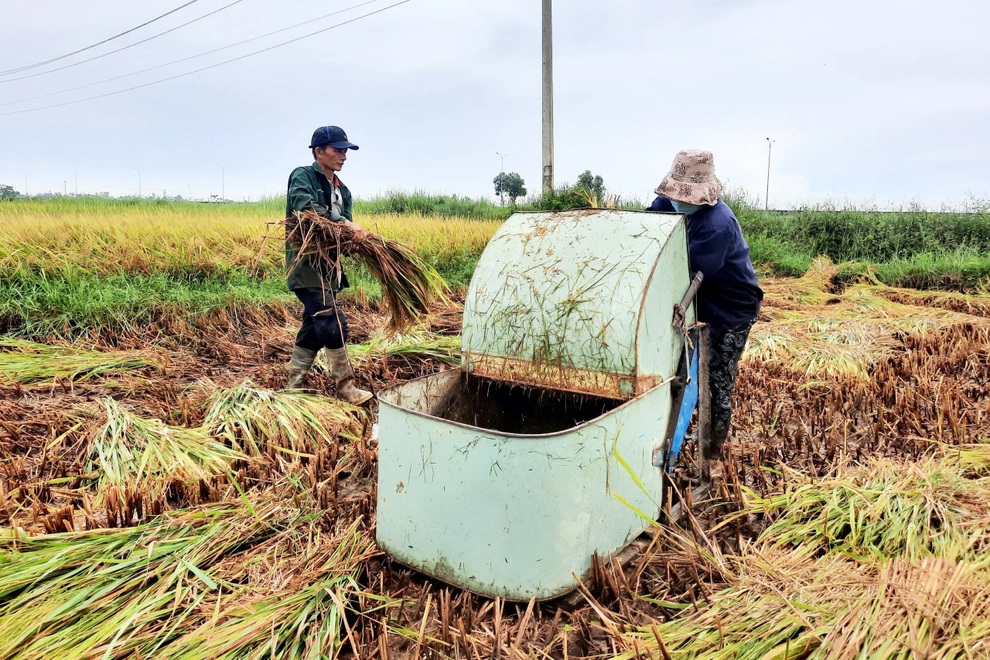 Phố cổ Hội An chằng chống di tích, Quảng Ngãi yêu cầu dân ở nhà tránh bão - 6 Phố cổ Hội An chằng chống di tích, Quảng Ngãi yêu cầu dân ở nhà tránh bão - 6