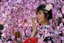 Giới trẻ Sài Gòn mặc Kimono chụp ảnh với hoa anh đào