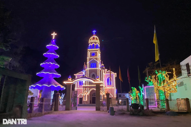 Cây thông Noel gắn hàng triệu vỏ nhuyễn thể được công nhận kỷ lục Việt Nam