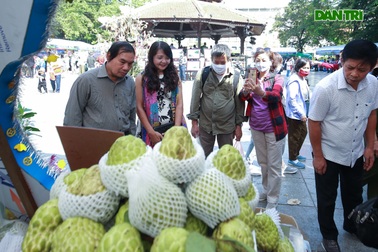 Đặc sản na khổng lồ Sơn La "hút" khách ở Hà Nội