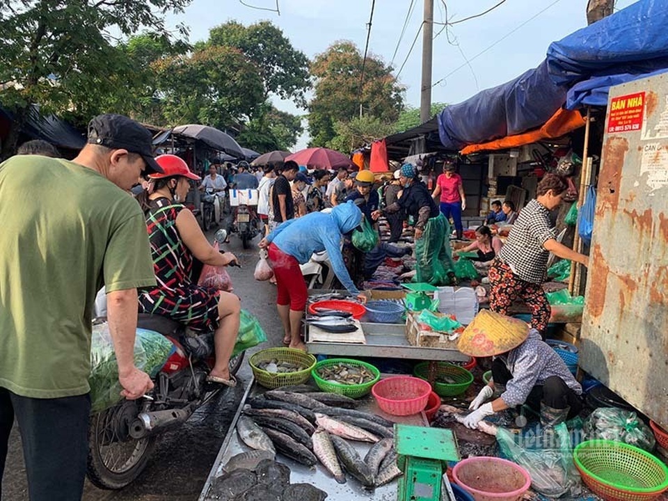 Đi 5 km quả nho đắt gấp 4, từ chuồng ra chợ gà tăng giá 3 lần - 1 Đi 5 km quả nho đắt gấp 4, từ chuồng ra chợ gà tăng giá 3 lần - 1