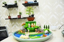 Bonsai “bay” tiền triệu gây “sốt” thị trường Tết