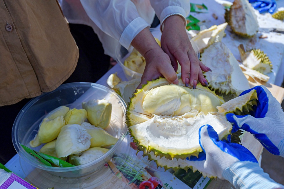 Tự trồng thanh long đến sầu riêng: Tham vọng tự chủ trái cây của Trung Quốc - 4 Tự trồng thanh long đến sầu riêng: Tham vọng tự chủ trái cây của Trung Quốc - 4