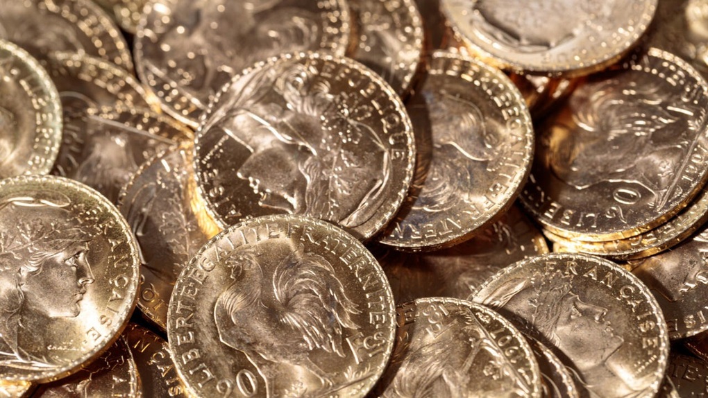 Pháp: Tìm thấy số vàng trị giá 800.000 USD khi đào bể bơi trong vườn - 1 Pháp: Tìm thấy số vàng trị giá 800.000 USD khi đào bể bơi trong vườn - 1