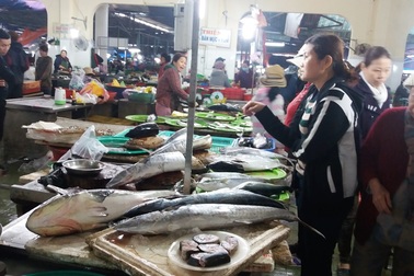 Không có cơ sở khẳng định gà chết do ăn cá