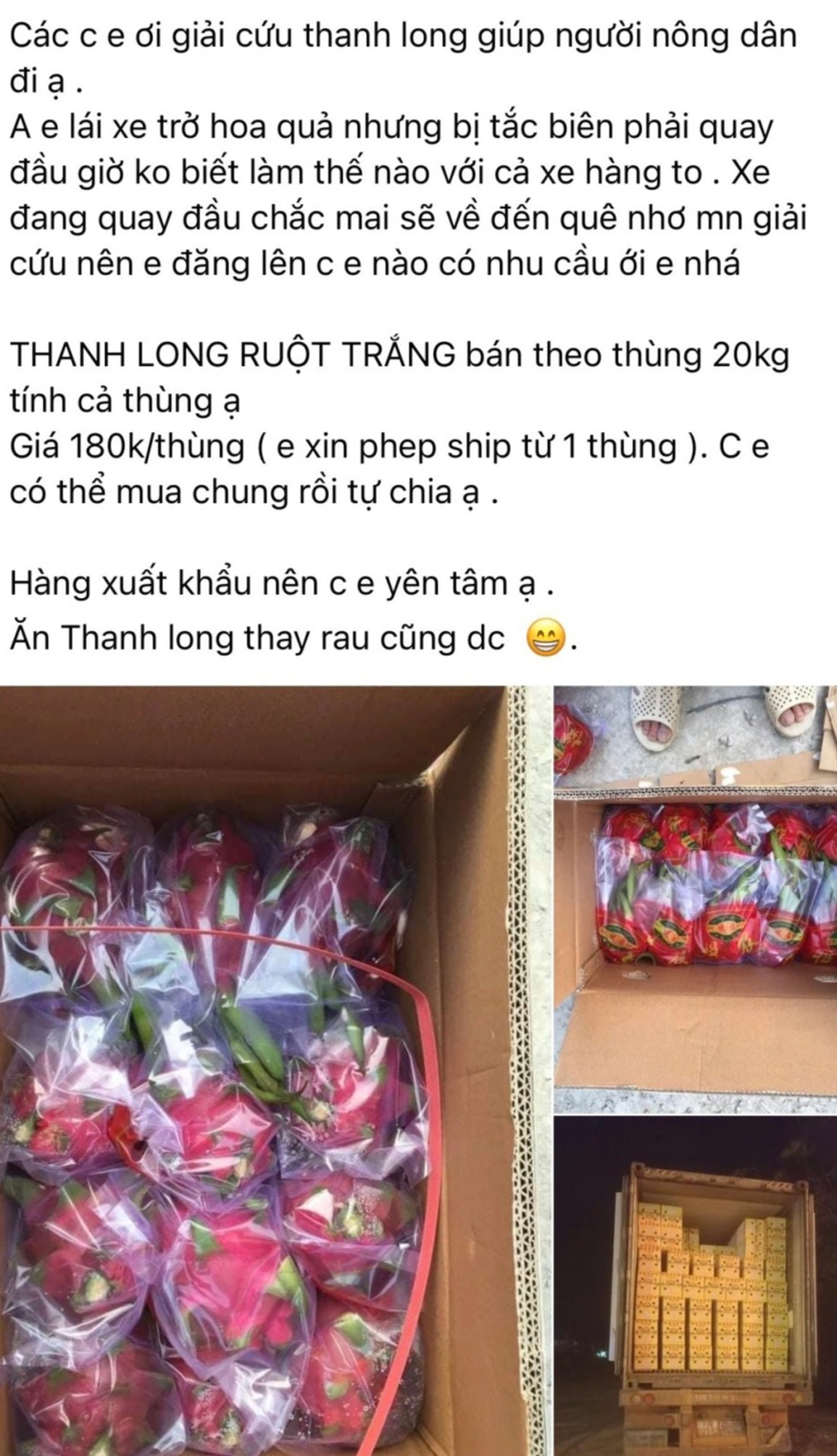 Ùn ứ cửa khẩu: Trăm xe nông sản cực chẳng đã quay đầu, bán rẻ giải cứu - 2 Ùn ứ cửa khẩu: Trăm xe nông sản cực chẳng đã quay đầu, bán rẻ giải cứu - 2