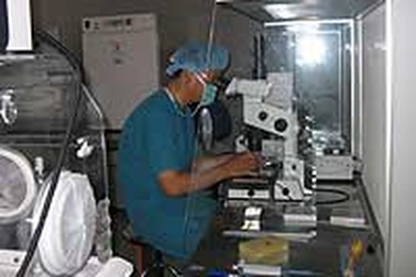 Ngân hàng tinh trùng “hụt vốn”