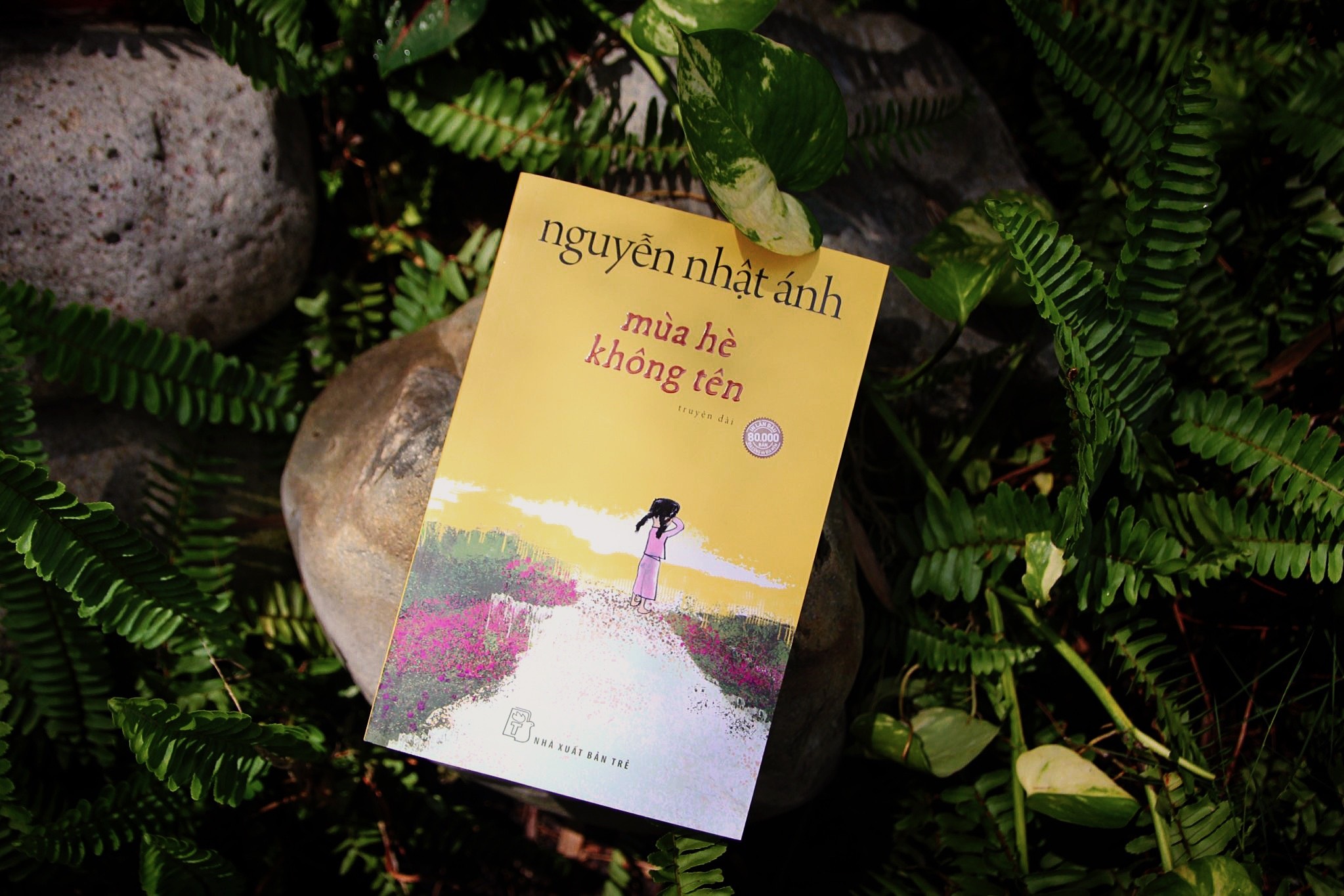 הקיץ חסר השם של הסופרת נגוין נאט אן וזיכרונות בלתי נשכחים - 3 Mùa hè không tên của nhà văn Nguyễn Nhật Ánh và những kỷ niệm không quên - 3