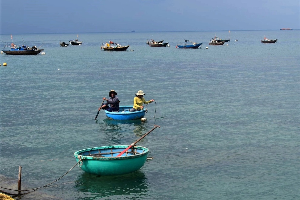 Nhân viên du lịch Hội An về làm nông: Mình về nuôi cá và trồng thêm rau! - 7 Nhân viên du lịch Hội An về làm nông: Mình về nuôi cá và trồng thêm rau! - 7
