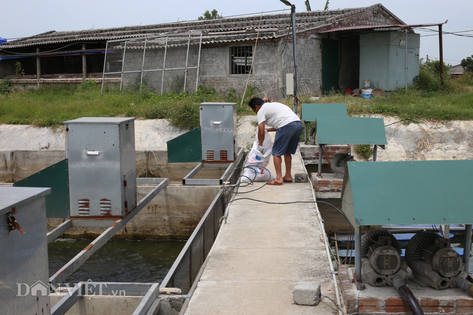 Một nông dân thu lợi 1 tỷ đồng/năm nhờ áp dụng công nghệ sông trong ao - 2 Một nông dân thu lợi 1 tỷ đồng/năm nhờ áp dụng công nghệ sông trong ao - 2
