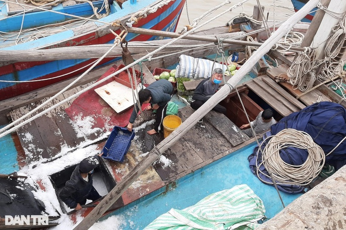 Giữa mùa biển lặng: Chủ tàu đỏ mắt tìm lao động ra khơi - 3 Giữa mùa biển lặng: Chủ tàu đỏ mắt tìm lao động ra khơi - 3