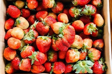 Những loại trái cây hàng đầu ngăn ngừa bệnh ung thư