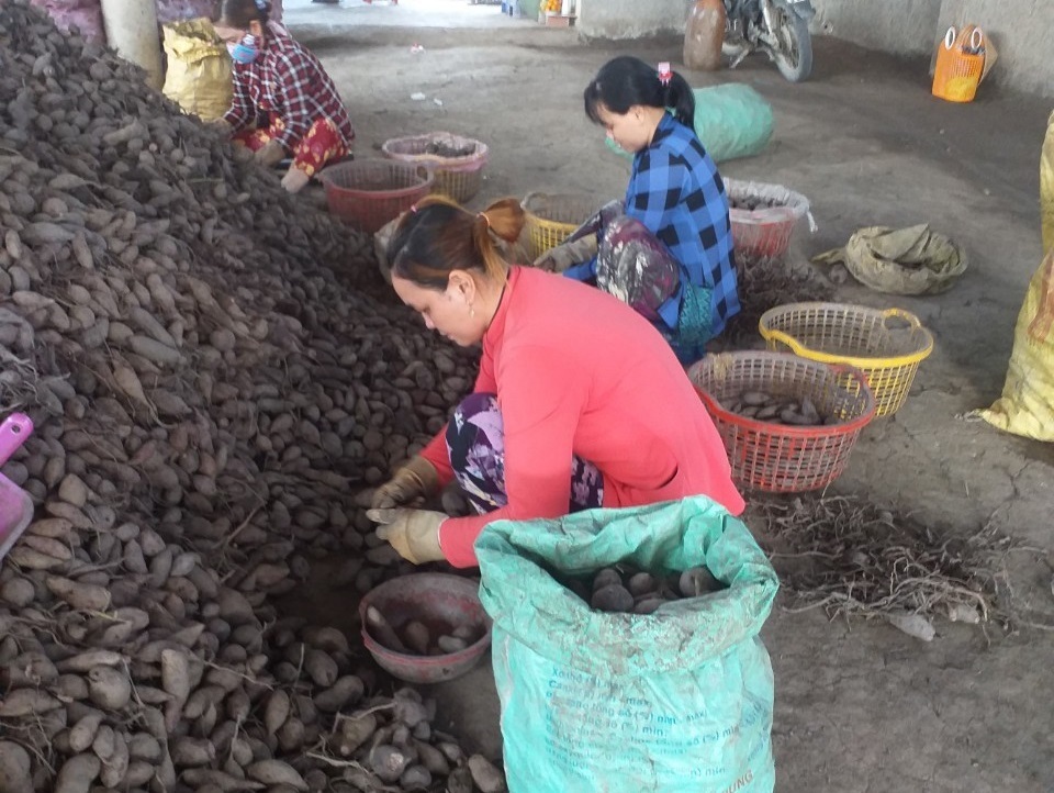 Thương bé gái xinh đẹp bị bố bỏ rơi khi đang chống chọi bệnh tật - 5 Thương bé gái xinh đẹp bị bố bỏ rơi khi đang chống chọi bệnh tật - 5