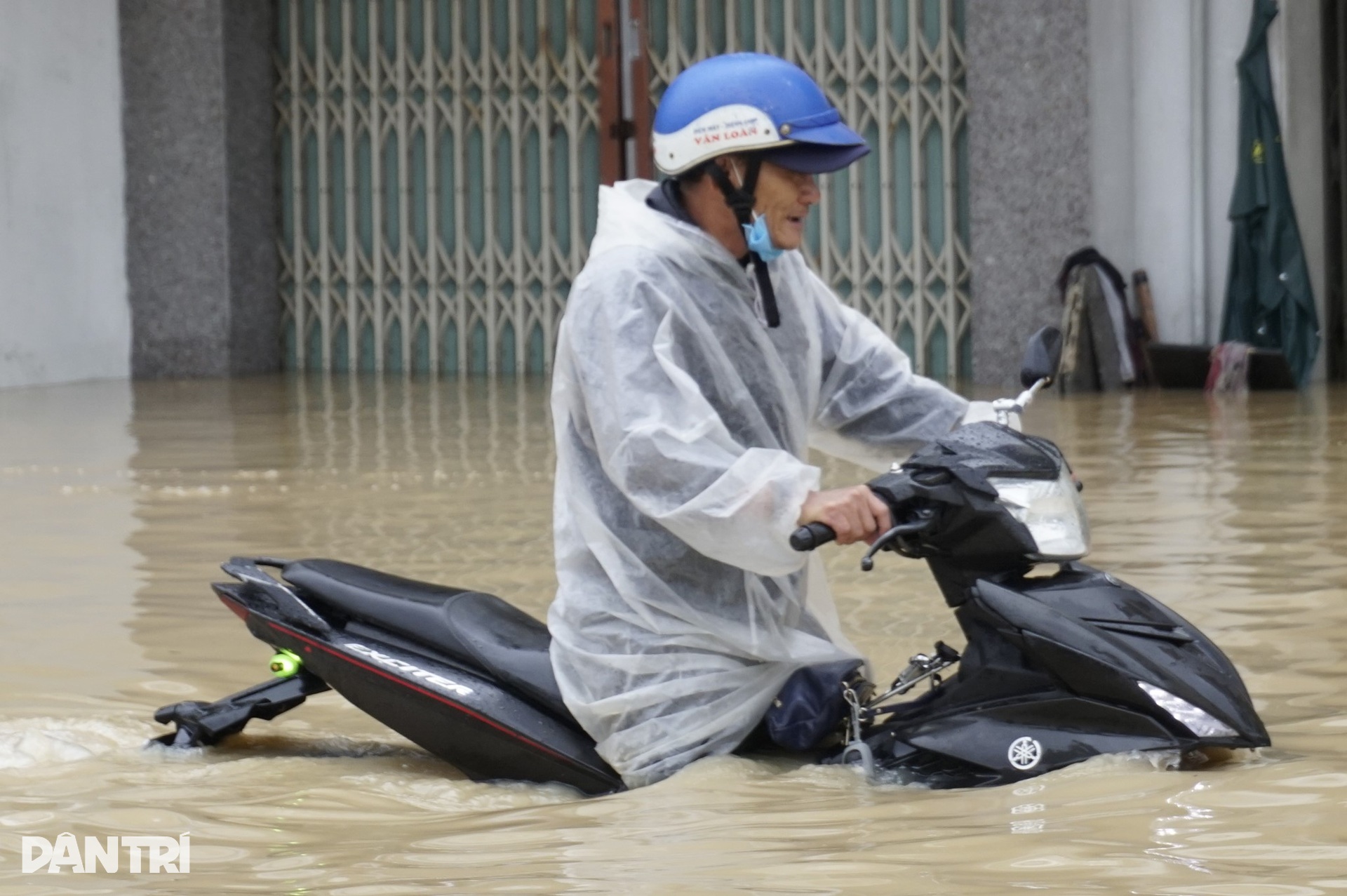 Người dân Gia Lai vật lộn giữa lũ lịch sử, đưa bò đến trụ sở xã trú - 13 Người dân Gia Lai vật lộn giữa lũ lịch sử, đưa bò đến trụ sở xã trú - 13