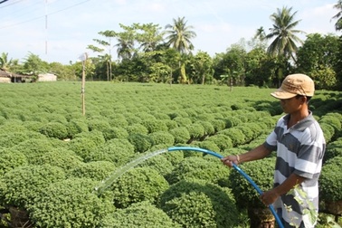 "Vương quốc" hoa kiểng tất bật cho mùa làm ăn lớn nhất năm