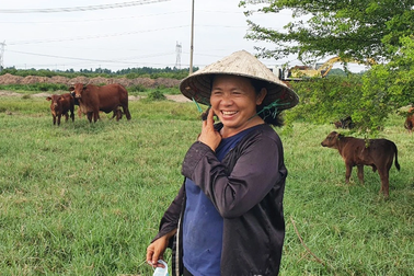 Gia tài 150 con bò, 1.600m2 đất của nông dân bán ruộng đi Sài Gòn mưu sinh