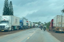 Gần 2.000 container sầu riêng bị ùn ứ, chờ được kiểm nghiệm