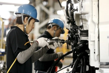 Lao động Việt rời Nhật sang Úc kiếm tiền tỷ mỗi năm